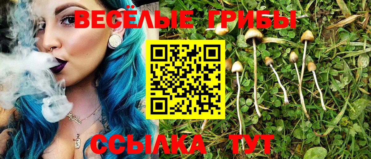 Галлюциногенные грибы Cubensis  Вход с VPN  Орск 