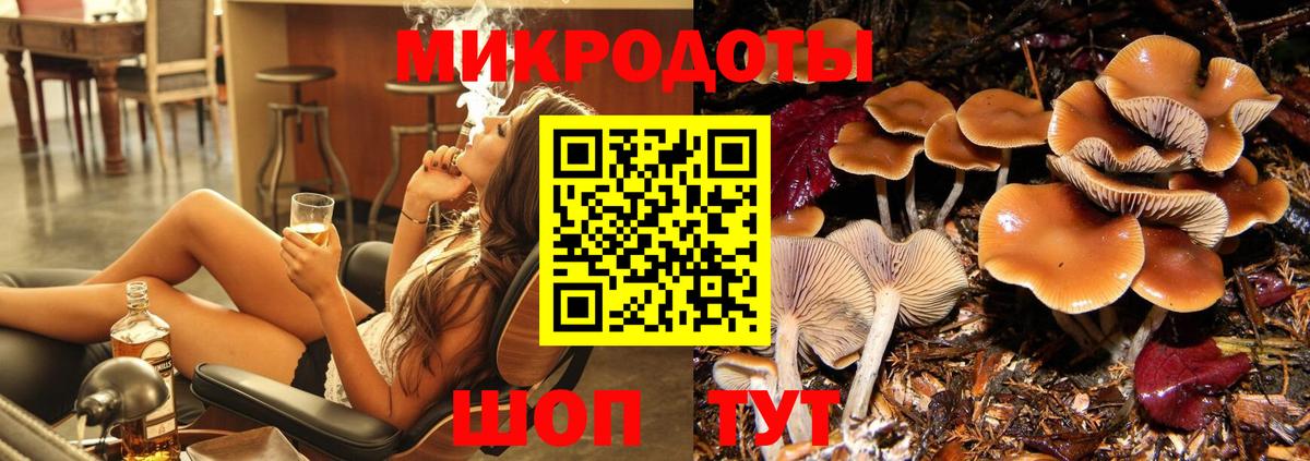 Псилоцибиновые грибы Psilocybe Орск